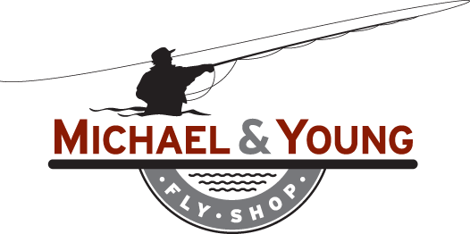 michael & young color logo