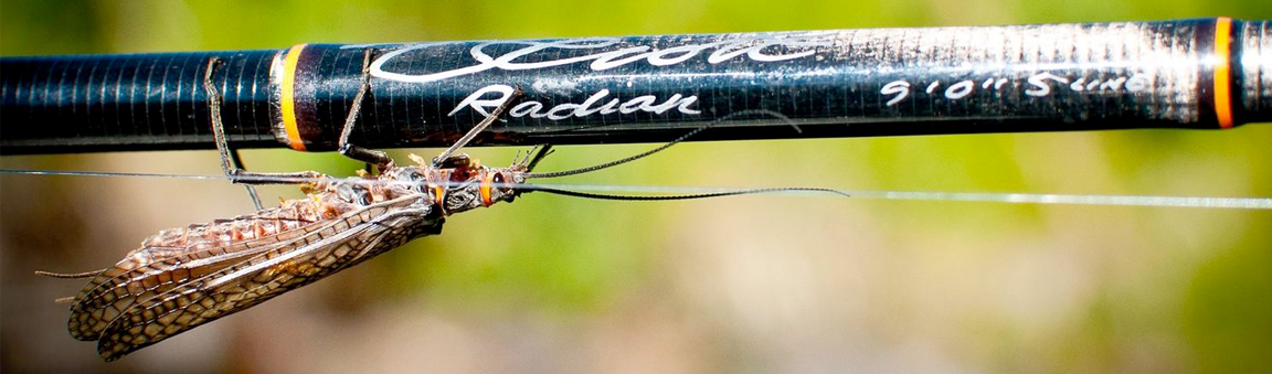 Fly Rods CF Burkheimer Cortland Dragonfly Echo Fenwick G. Loomis Hardy Loop Meiser Fly Rods Redington Sage Scott Shakespeare Temple Fork Thomas & Thomas Winston