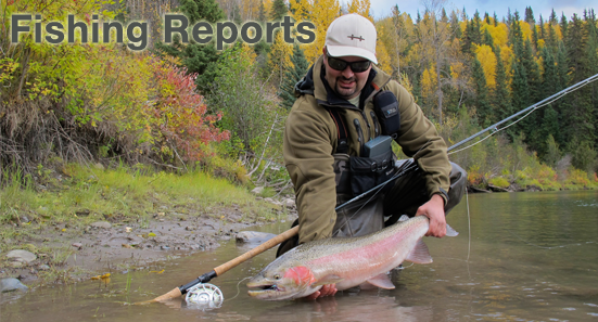 Read our fishing reports and you will learn where, how and when to fly fish British Columbia.