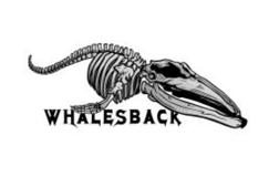 Whalesback