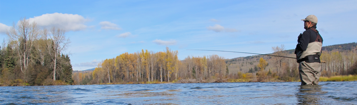 Fly Lines & Accessories Airflo Bridge Outfitting Carron Cortland Frog Hair Gaelforce Hareline Dubbin Hatch Loon Outdoors Loop Maxima Nam Products Nextcast OFishL OPST (Olympic Peninsula Skagit Tactics) Oros Rio Products Royal Wulff Scientific Anglers Seaguar Umpqua Varivas Wapsi Winston