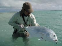 <p>This trip was presold for March of 2020 and has finally been rescheduled. Some of the travellers are unable to attend these dates and are selling their spots. </p>

<p>This is a week of flyfishing in Kiritimati, a tiny coral atoll in the middle of the South Pacific Ocean with a incredible series of flats filled with bonefish, GT, other trevally, triggerfish and many other awesome fish. It is a sight fishing mecca! The cost is <strong>$3290.00 (USD)</strong> per angler, which includes lodging (2 per room), food, and guiding. It does not include flights, gratuities, or alcohol.</p>

<p>Each day you will start with an early breakfast, then travel by boat to access endless flats, hiking and fishing with your own personal guide, hunting GT's and bonefish. At the end of the day there will be fresh Sashimi, cold beer, fish stories, and dinner.</p>

<p>If you would like more information or would like to join us on this adventure please call or e-mail Ryan or Dave at the Surrey store (ryan@myflyshop.com)</p>