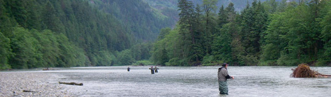 <p>A 45 minute drive from Vancouver coupled with a 35 minute boat ride; there lies a watershed that has hardly felt the influence of modern society. The upper Pitt River is a far cry from its turbid southern cousin, the lower. A glacier fed medium sized river, the upper Pitt has a feel of utter remoteness.</p> <P>
<p>Only the excellent fishing challenges the sheer beauty of the area. As with most coastal river the fishing can be quite seasonal, relying on salmon and steelhead returns. However the upper Pitt does boast a strong resident population of Dolly Varden, Bull, Rainbow and Cutthroat trout to make for excellent fishing at any time of year.</p> <P>
<p>The Steelhead runs are all wild and arrive late in the season (end of March Through April), this makes them quite receptive to the fly. Each fish is precious and must be released unharmed after pictures have been taken.</p> <P>
<p>The end of July finds sockeye entering the river in huge numbers. These fish are the largest for their species in the world (often exceeding 10 pounds). Along with the Sockeye come the Chinook salmon (10 to 35 pounds). Although targeting these beauties is forbidden, they are quite the sight to see as they make their way up river.</p> <P>
<p>Sea run Dolly Varden (2 to 10 pounds), Bull trout (5 to 13 pounds) and Cutthroat trout (1-½ to 5 pounds) enter the river through June awaiting the Sockeye and the upcoming bonanza of fish eggs. These fish are eager biters and quite aggressive.</p> <P>
<p>Towards the middle of October wild Coho salmon enter the river in substantial amounts. These fish are silver from the sea and ready to tussle with the avid fly angler. Aggressive and full of fight, these fish are some of the only remaining true wild runs of Coho left in the lower Fraser River water shed.</p> <P>
<p>Jet boats are required to access this river. This, coupled with the run up the lake leaves the river with almost no fishing pressure. It is truly a gem of a river that is easily accessible with in a day from Vancouver.</p> <P>
<p><strong>Maximum: </strong>1-3 persons</p> <P>
<p><strong>Cost: </strong>$1,000 + GST = $1,050.00</p> <P>