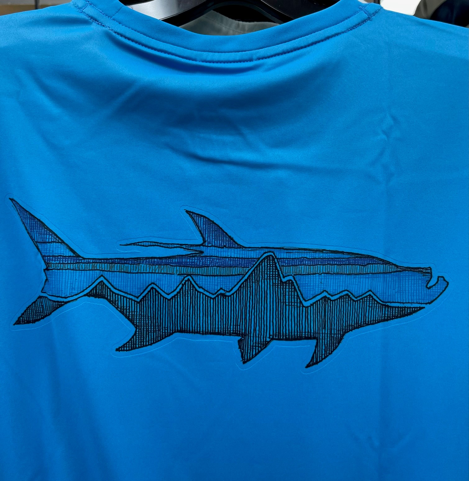 Patagonia M's L/S Capilene Cool Daily Fish Graphic Shirt - Sketched Fitz Roy Tarpon: Joya Blue - Medium
