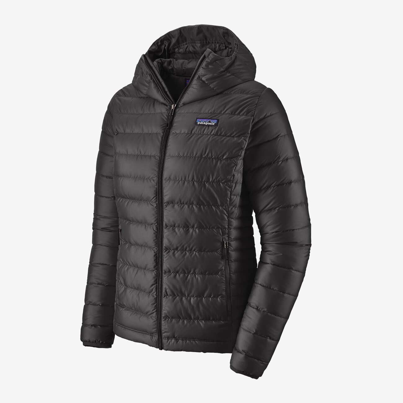 Patagonia W's Down Sweater Hoody - Black - Small
