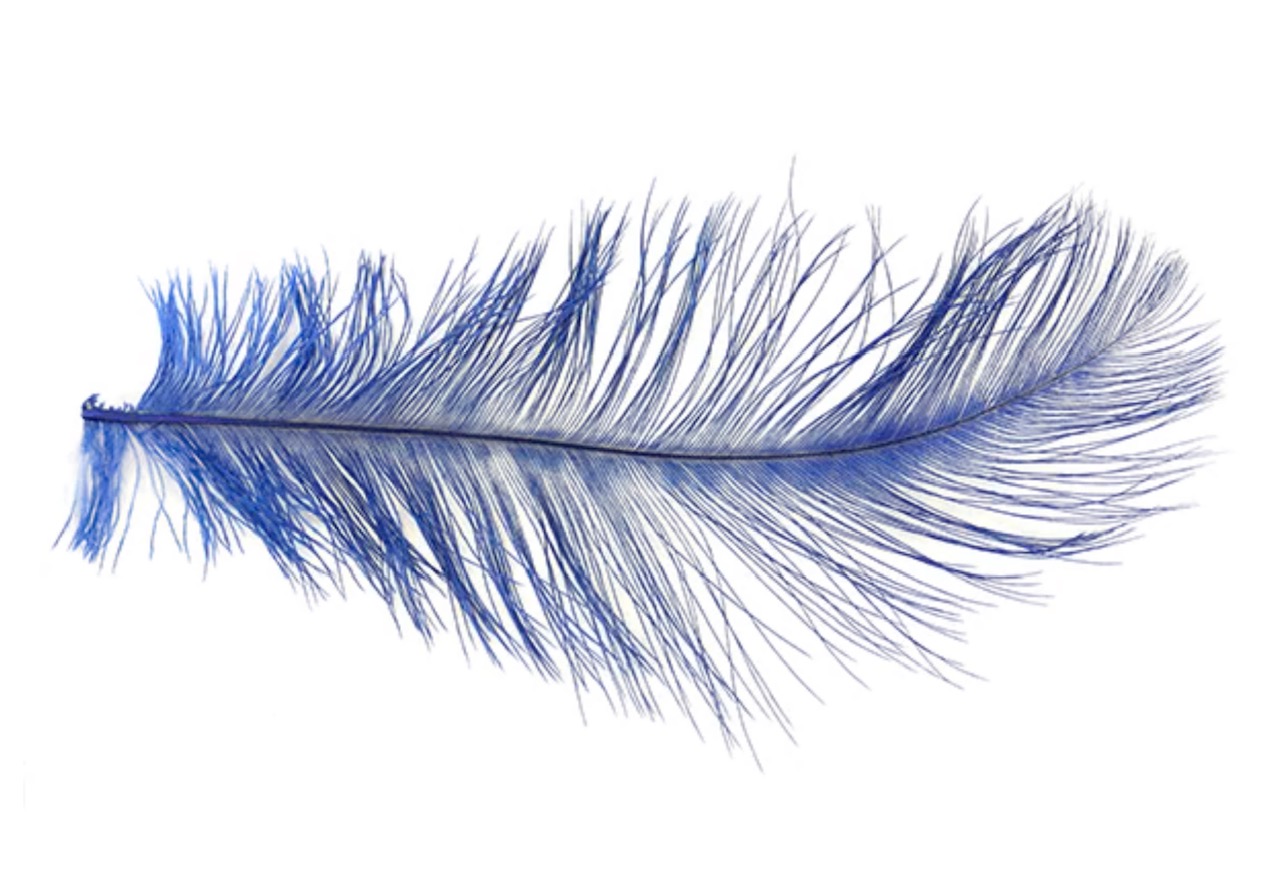 MFC Ostrich Plumes - Blue