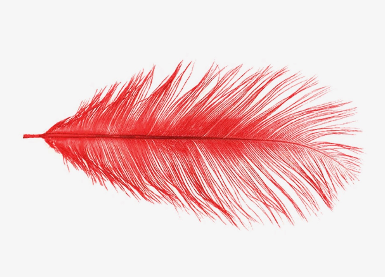 MFC Ostrich Plumes - Red