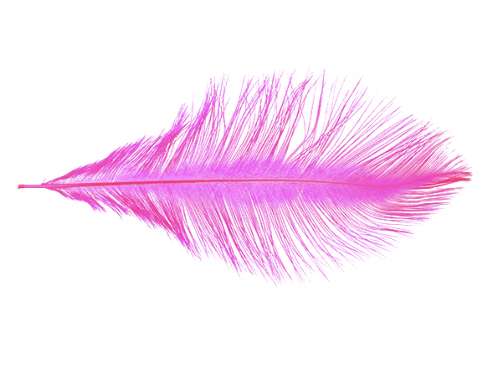 MFC Ostrich Plumes - Fl. Pink