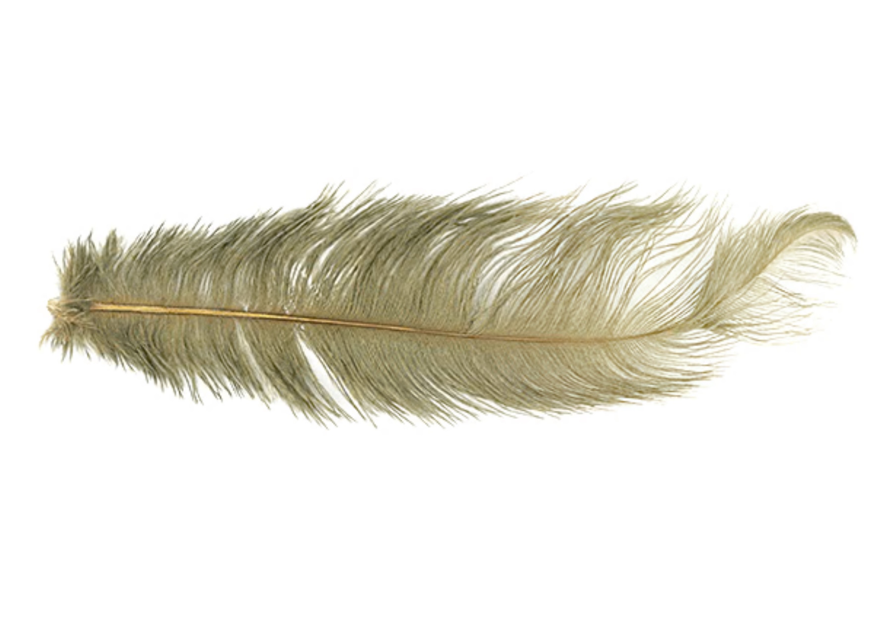 MFC Ostrich Plumes - Olive