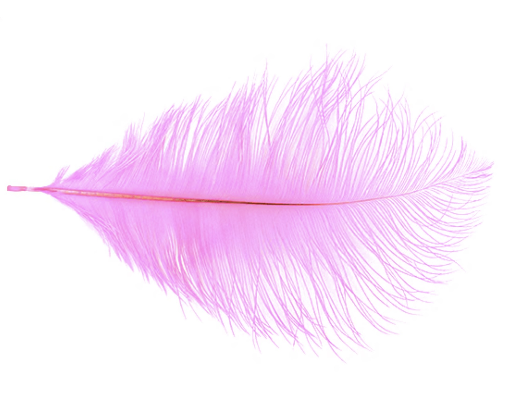 MFC Ostrich Plumes - Pink