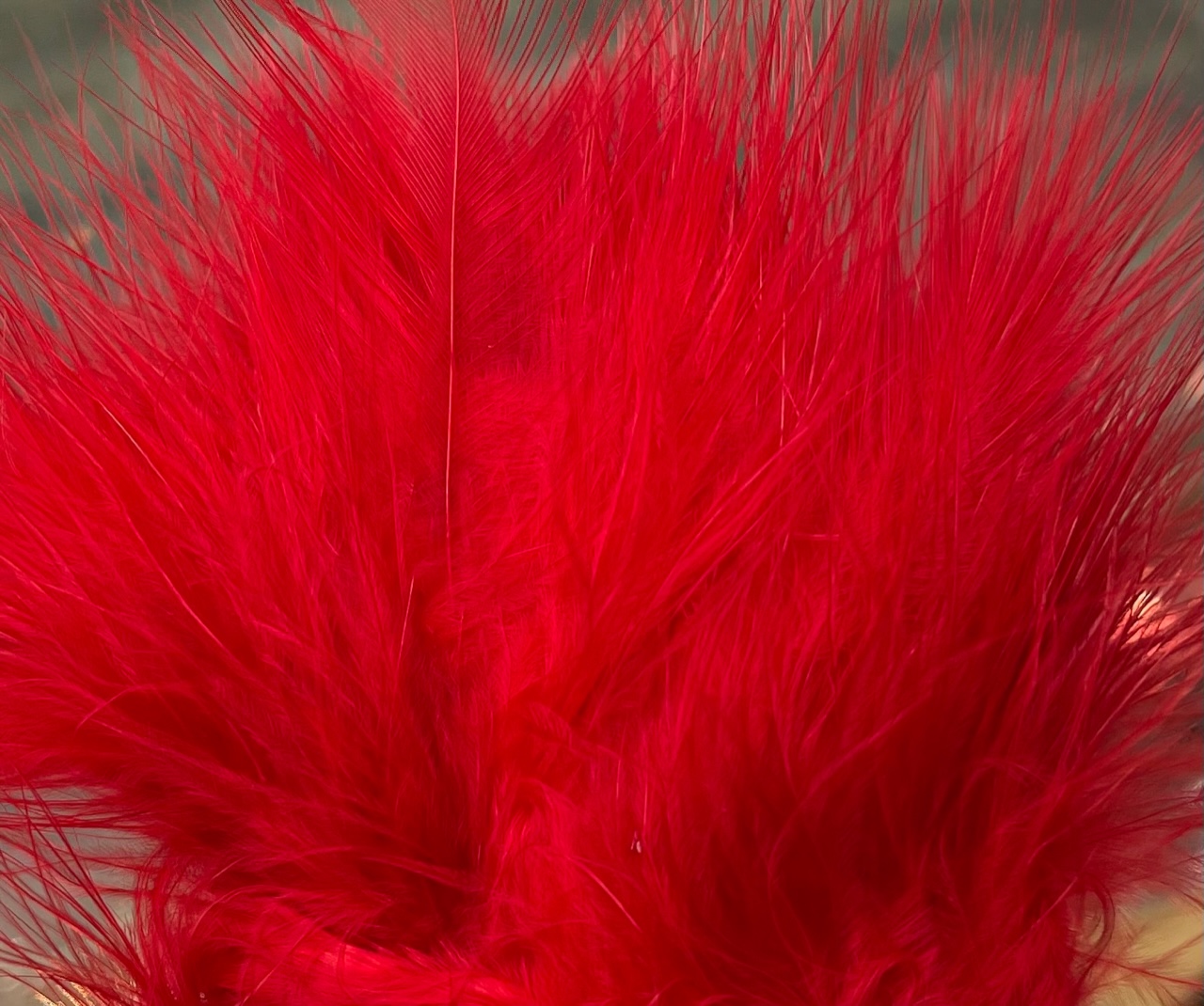 Fish Hunter Spey Marabou - Hot Red