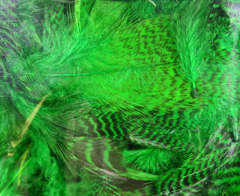Hareline Dubbin Teal Flank Feathers - Green