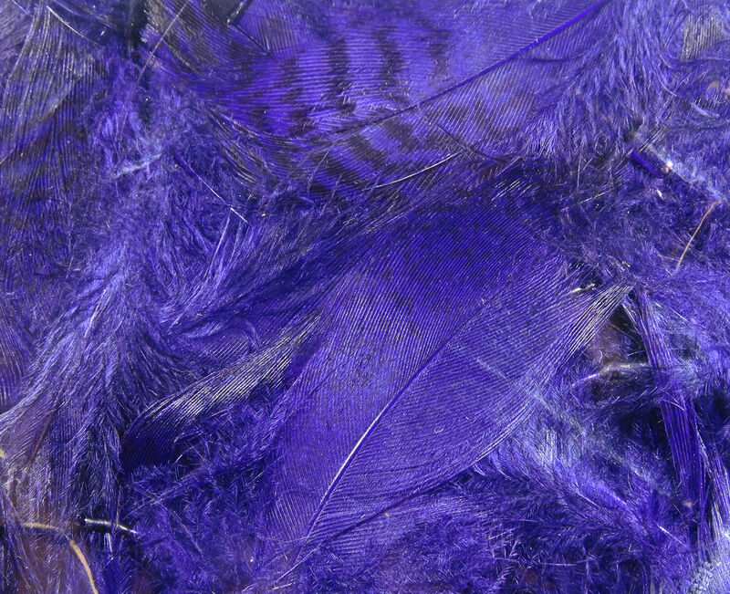 Hareline Dubbin Teal Flank Feathers - Purple