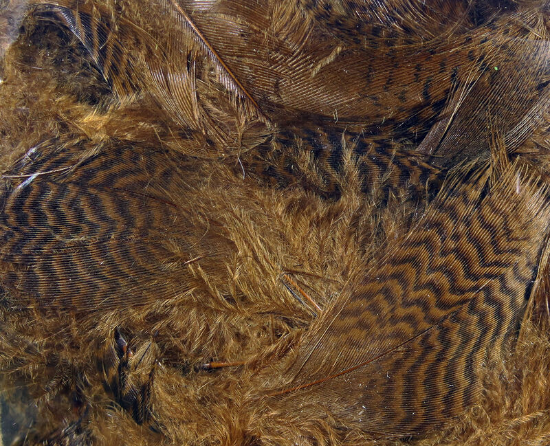 Hareline Dubbin Teal Flank Feathers - Brown