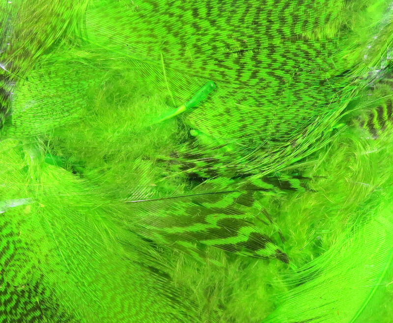 Hareline Dubbin Teal Flank Feathers - Chartreuse