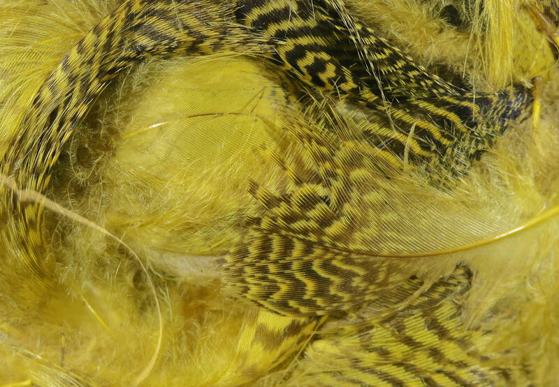 Hareline Dubbin Teal Flank Feathers - Woodduck Gold