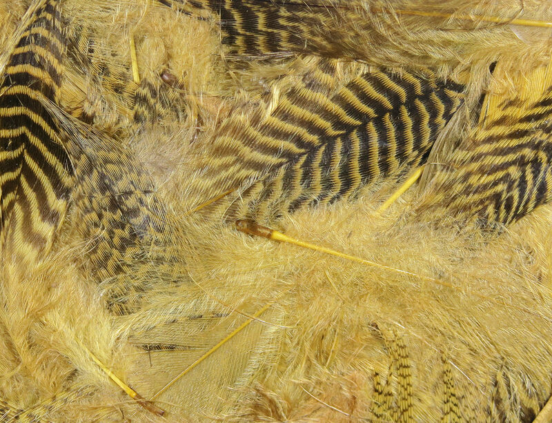 Hareline Dubbin Teal Flank Feathers - Woodduck Tan