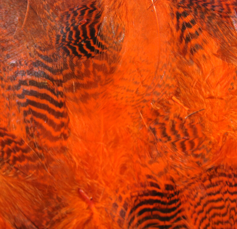 Hareline Dubbin Teal Flank Feathers - Orange