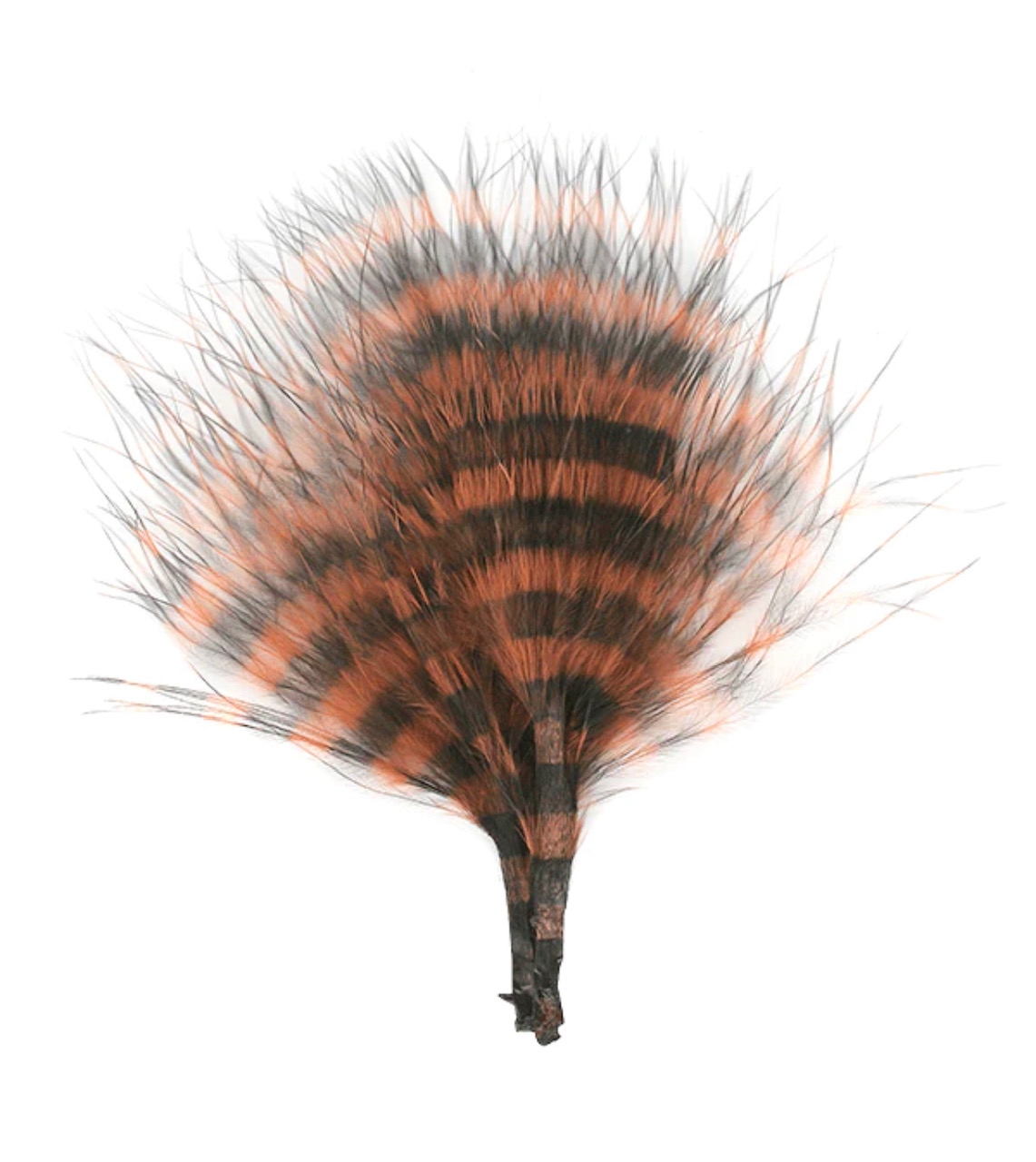 MFC Barred Marabou Blood Quill - Brown/Black