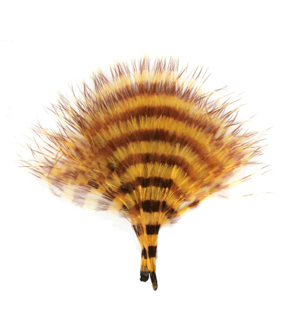 MFC Barred Marabou Blood Quill - Yellow/Brown
