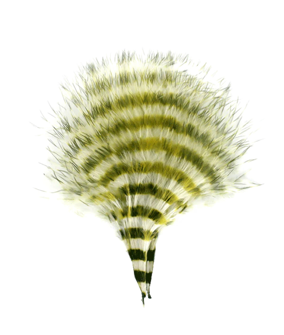MFC Barred Marabou Blood Quill - White/Olive