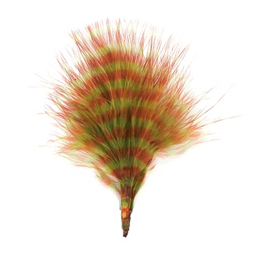 MFC Barred Marabou Blood Quill - Olive/Rust