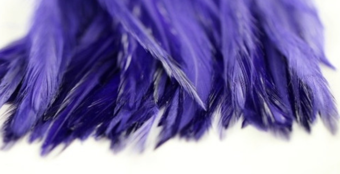 Wapsi Strung Rooster Saddles Long - Purple/White
