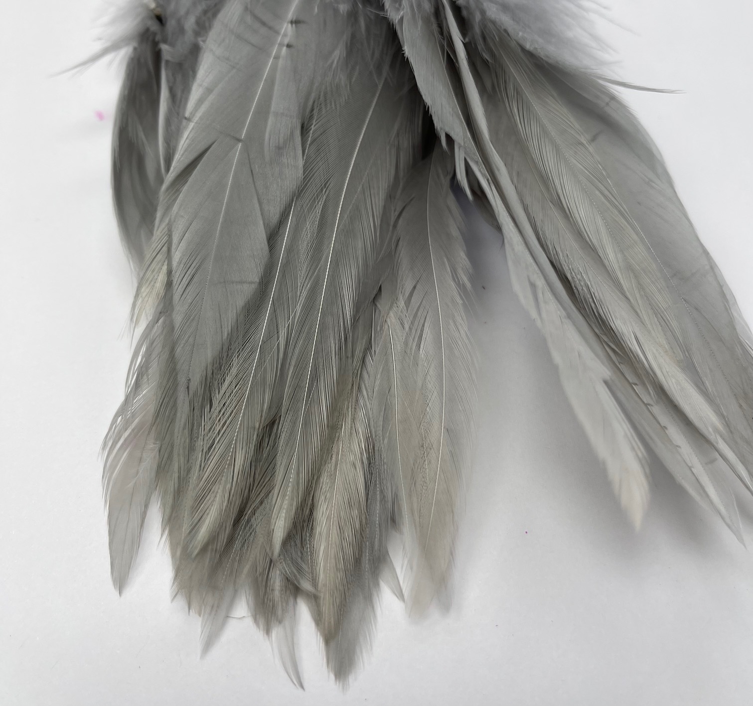 Wapsi Strung Rooster Saddles Long - Pearl Gray/White