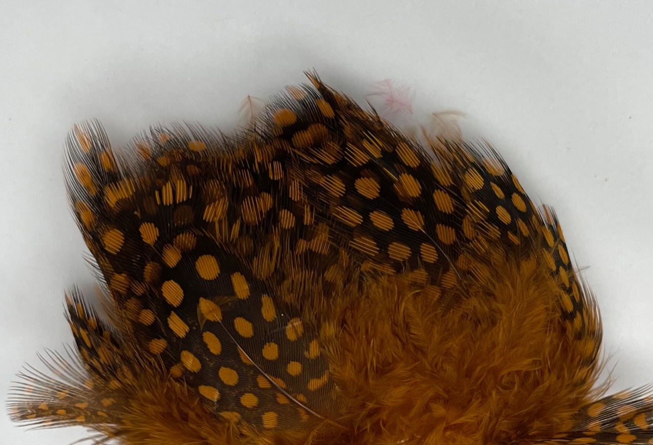 Fish Hunter Large Dot Guinea - Crawfish Orange (UV)