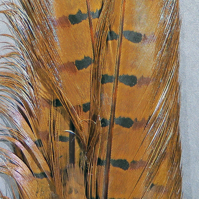 Hareline Ringneck Pheasant Tail Clump - Brown