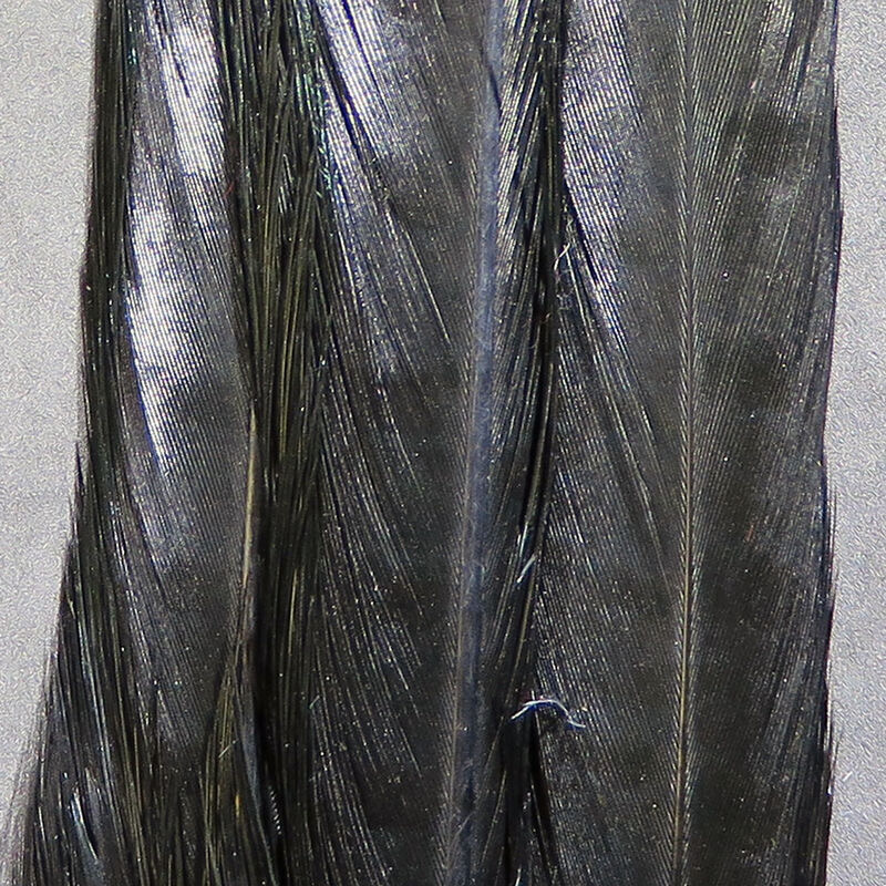 Hareline Ringneck Pheasant Tail Clump - Black
