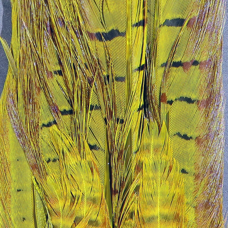Hareline Ringneck Pheasant Tail Clump - Yellow