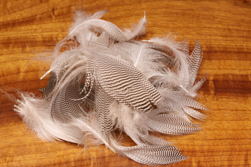 Hareline Dubbin Pintail Flank Feathers - Natural