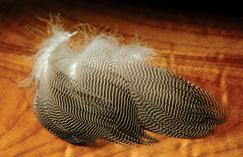 Hareline Dubbin Gadwall Feathers - Natural